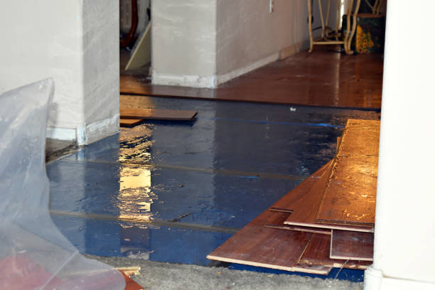 Professional Burst Pipe Cleanup technician working in Venus, TX