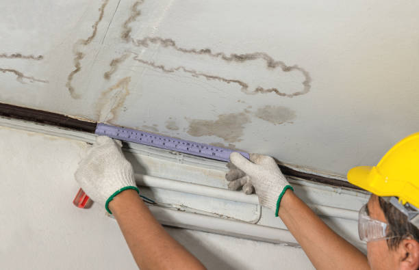 Reliable Burst Pipe Cleanup contractor in Venus, TX by Water Damage Irwin